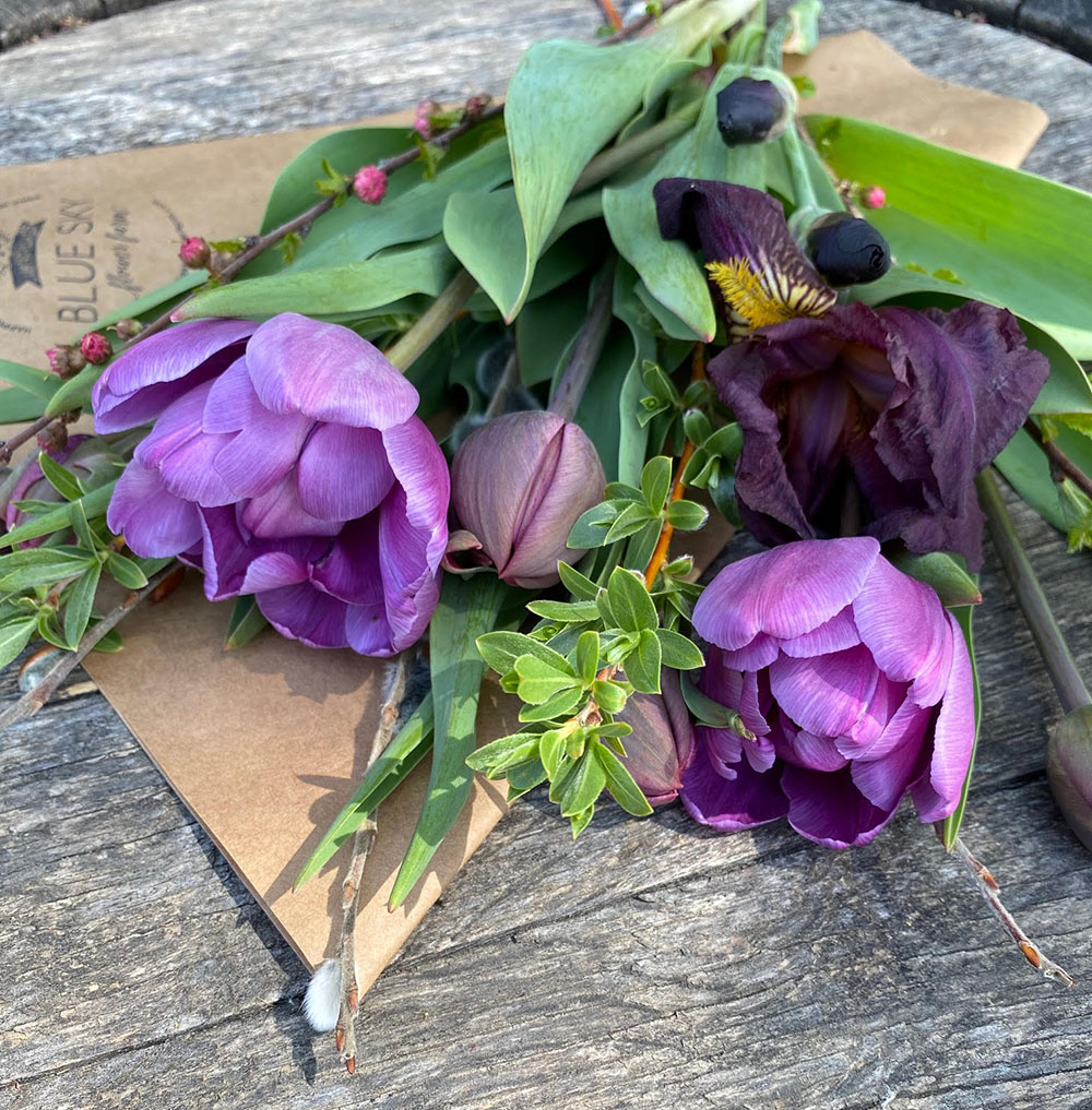 Bouquet In A Box Cheerful Blooms Bouquet Blue Sky Flower Farm